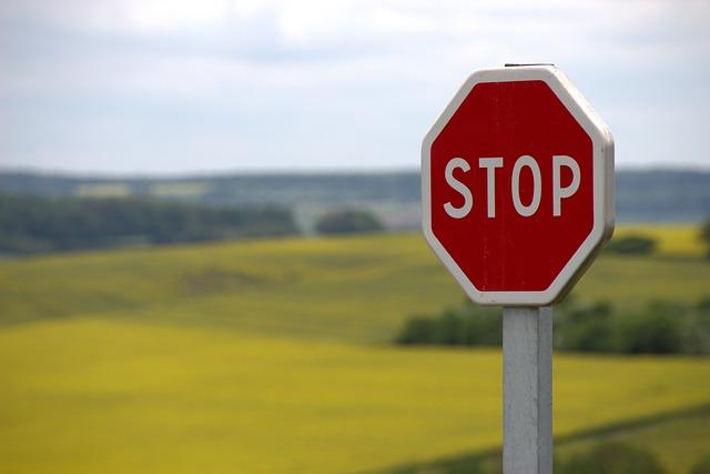 Jak Správně Přizpůsobit Stopu Kočky Domácí Vaší Kočce