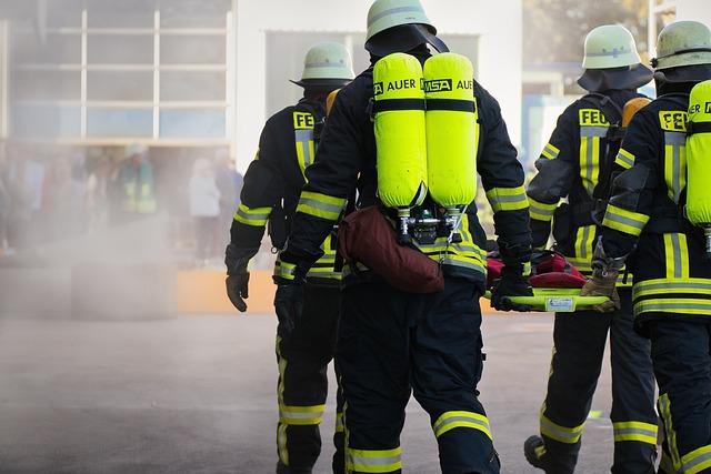 Jak odstranit nebezpečné kapradí a zajistit bezpečné prostředí pro kočky