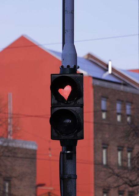 Příznaky, které naznačují potřebu vyvolání zvracení‌ u ​kočky