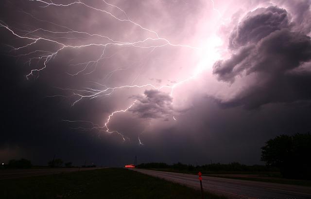 Nebezpečí spojená s pozřením bentonitového steliva vaší kočkou