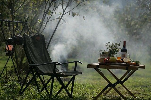 Zkušenosti zákazníků: Co říkají majitelé o nejlepším kočičím záchodě 60 x 40?