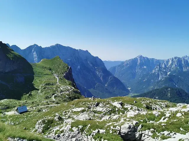 Cesta k ⁤ochraně⁣ životního ‍prostředí pro zachování kočkovitých šelem