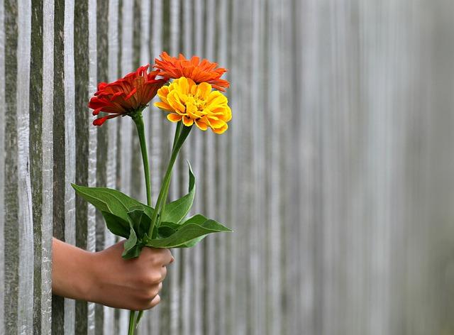 Nabídka kvalitních potravin a doplňků pro Vaše bezsrsté miláčky