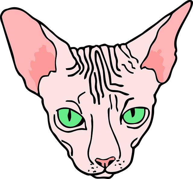 Přehled vhodných masových produktů pro Sphynx kočky